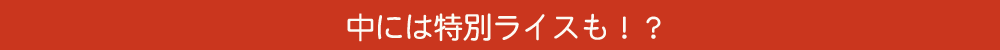 中には特別ライスも！？